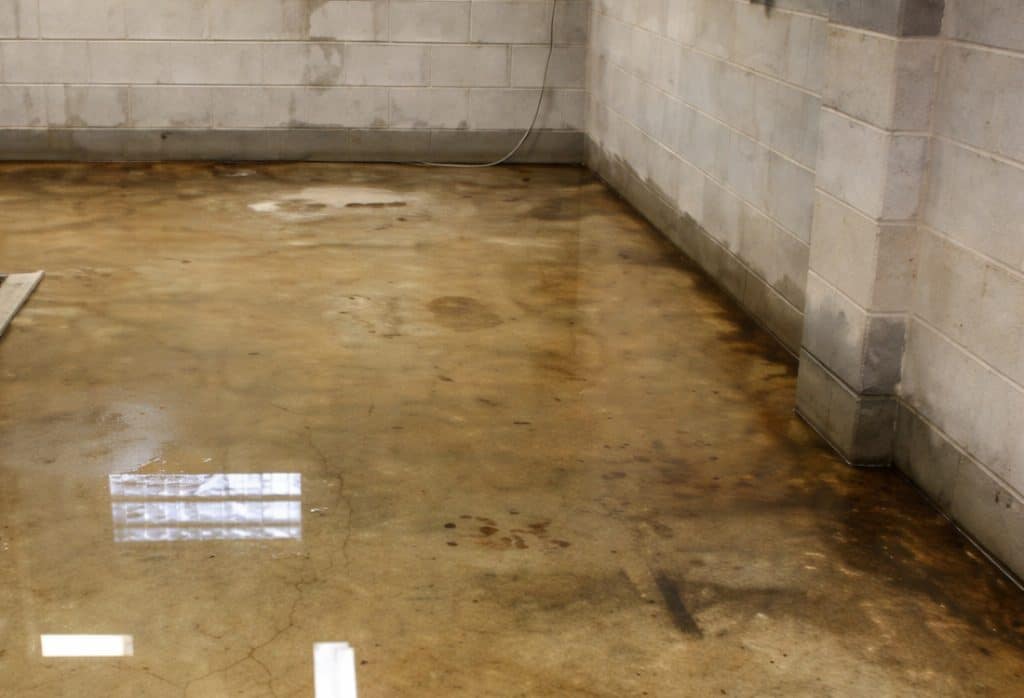 Standing water flooding a basement floor after water in the basement was left untreated in White Post, VA.